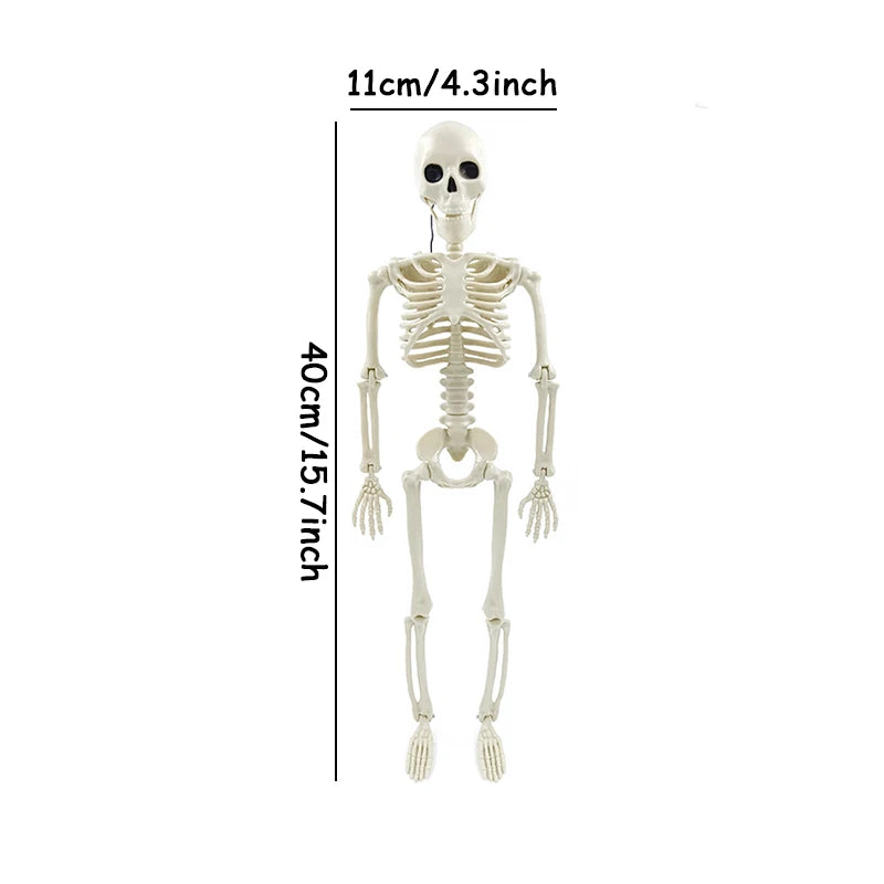 Mini skeleton posed on a shelf