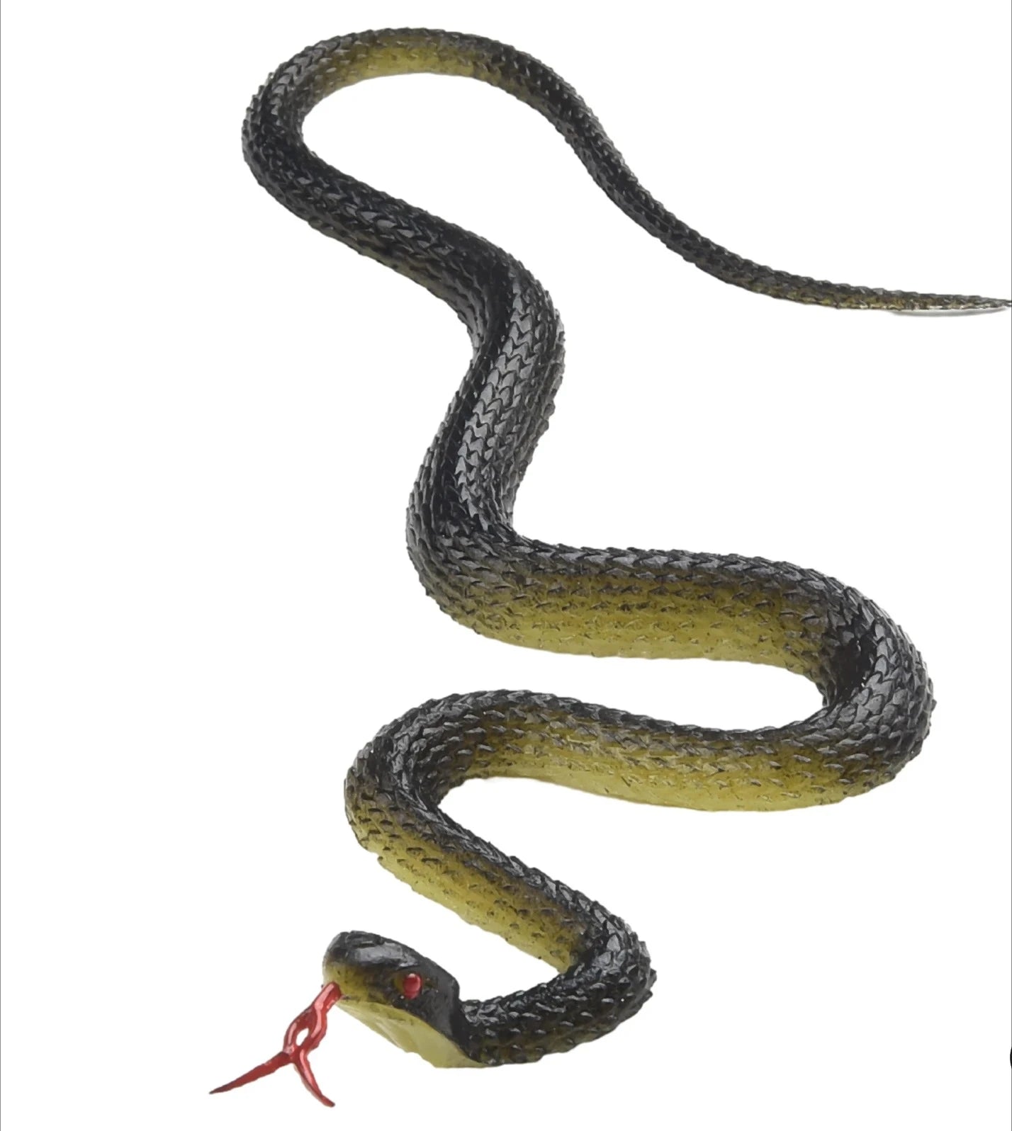 Rubber snake coiled showing painted scales